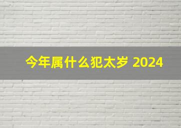 今年属什么犯太岁 2024